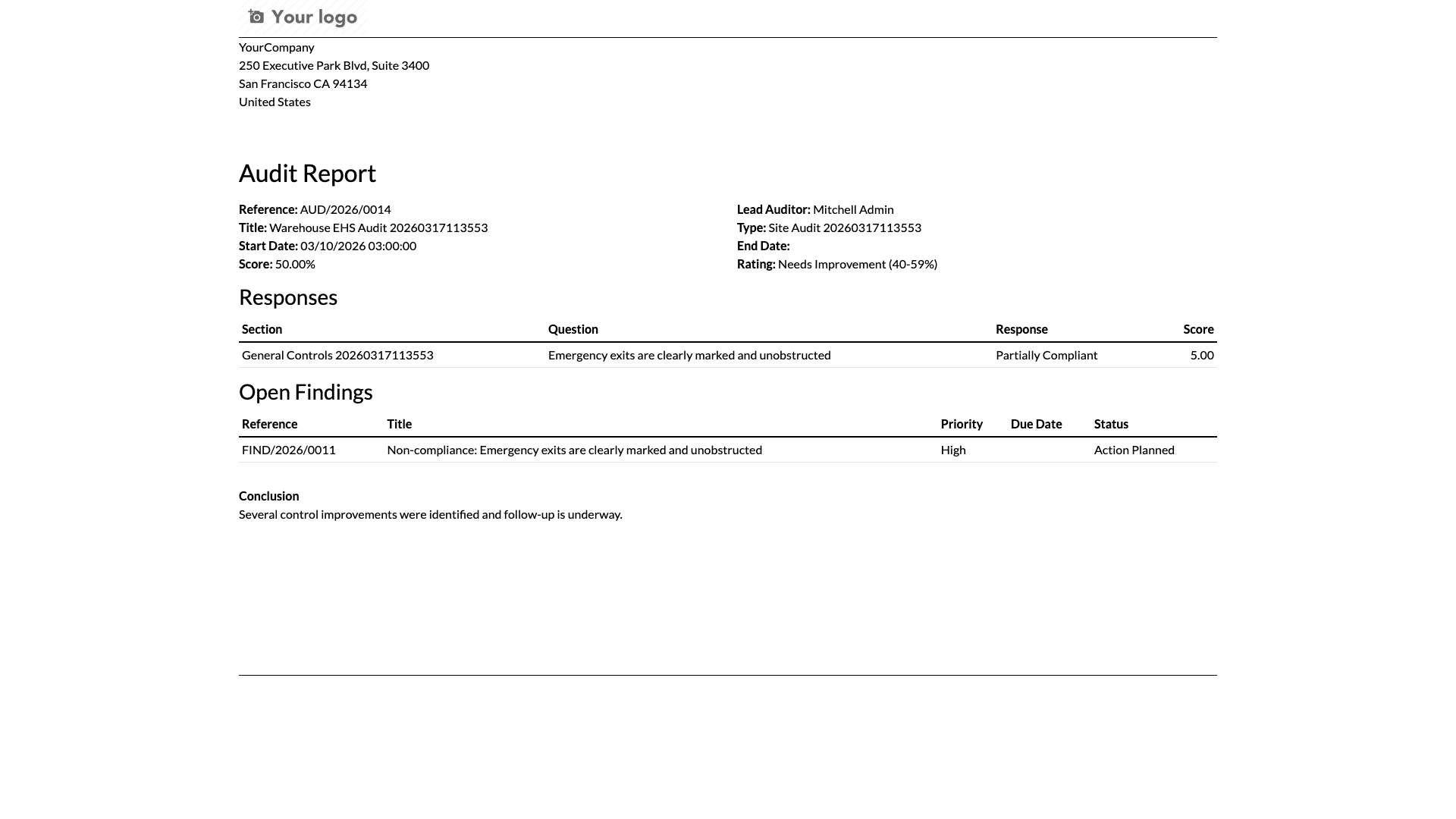 Audit report preview