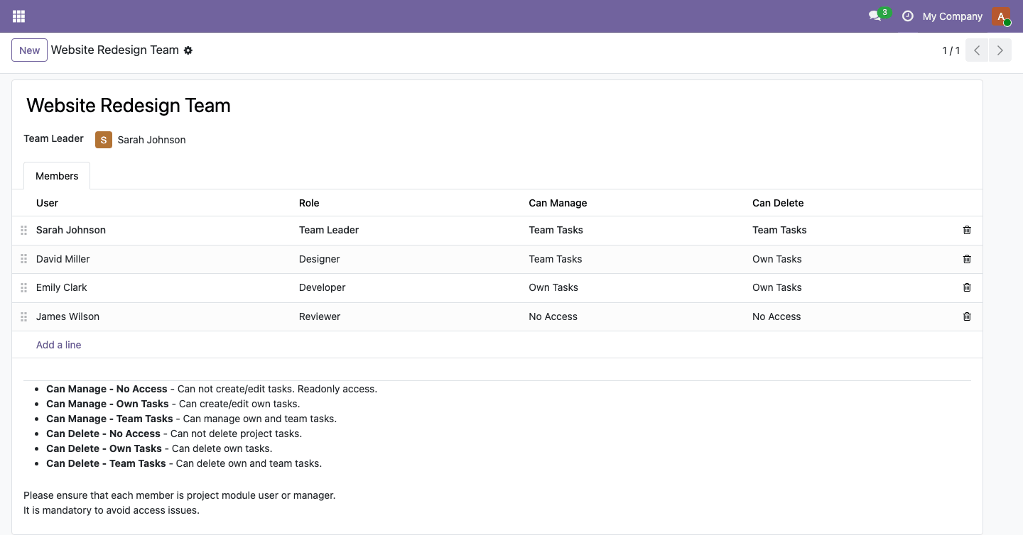 Project team form with members and access levels