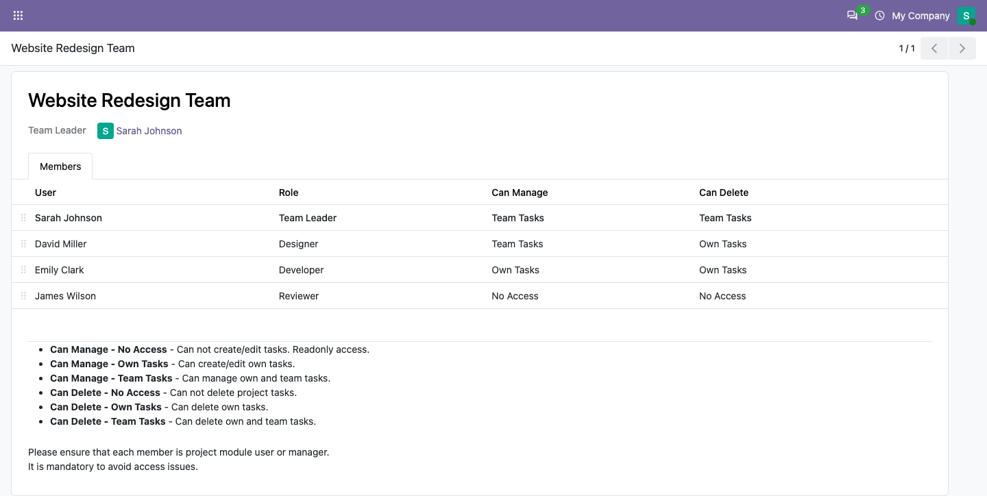 Project team form with members and access levels